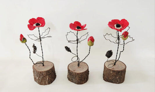 כלנית על כפיס עץ