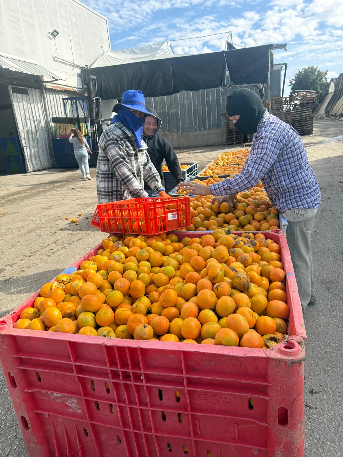 טעמים של תקווה -בשדות העוטף