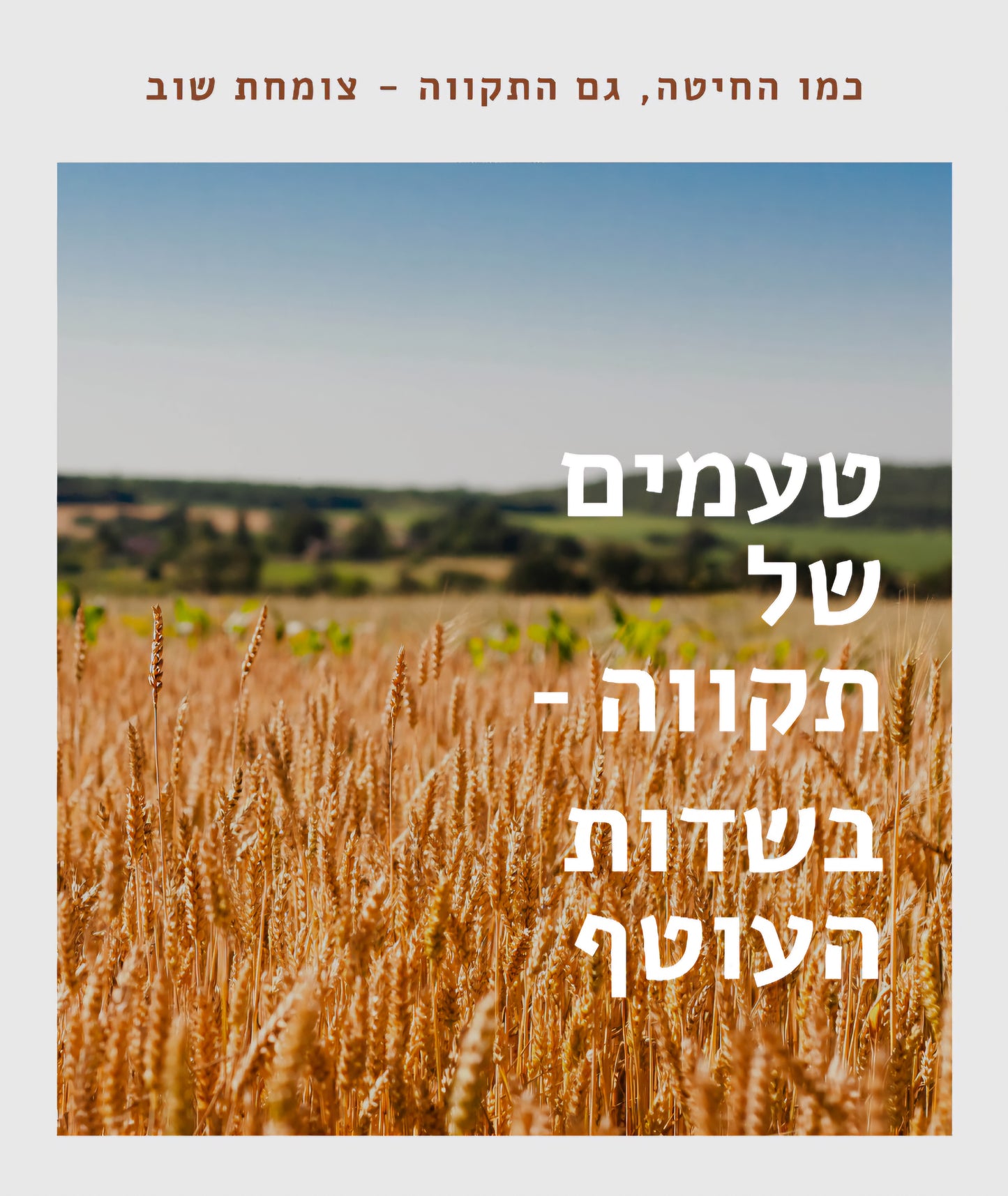 טעמים של תקווה -בשדות העוטף