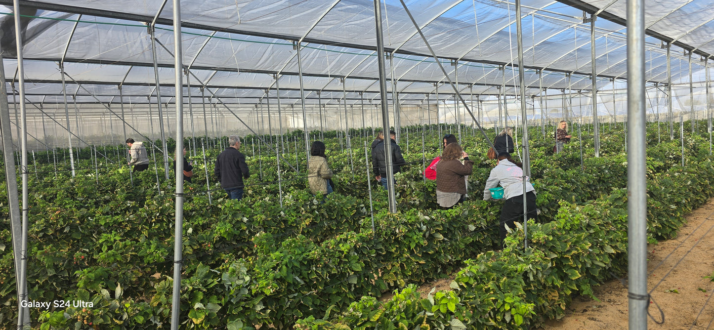 טעמים  של תקווה -בשדות העוטף