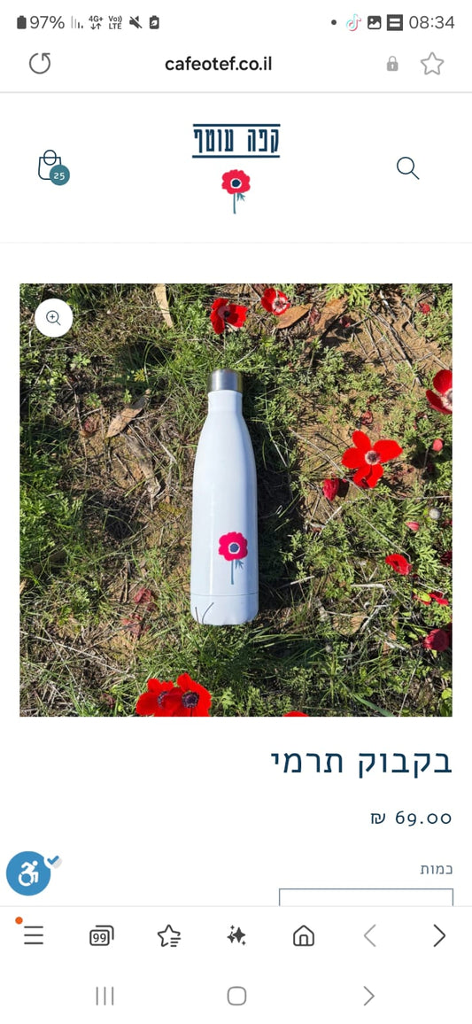 Thermal bottle