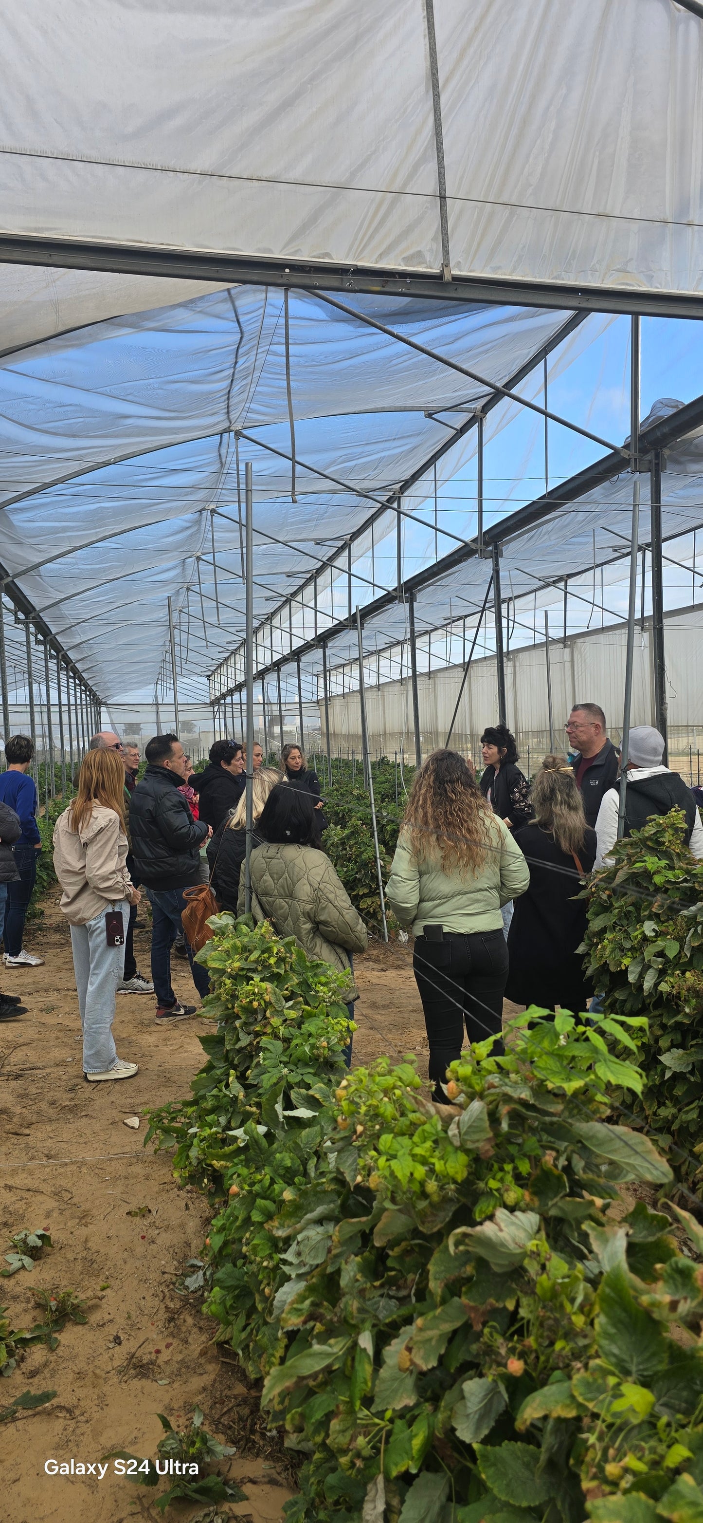 טעמים  של תקווה -בשדות העוטף