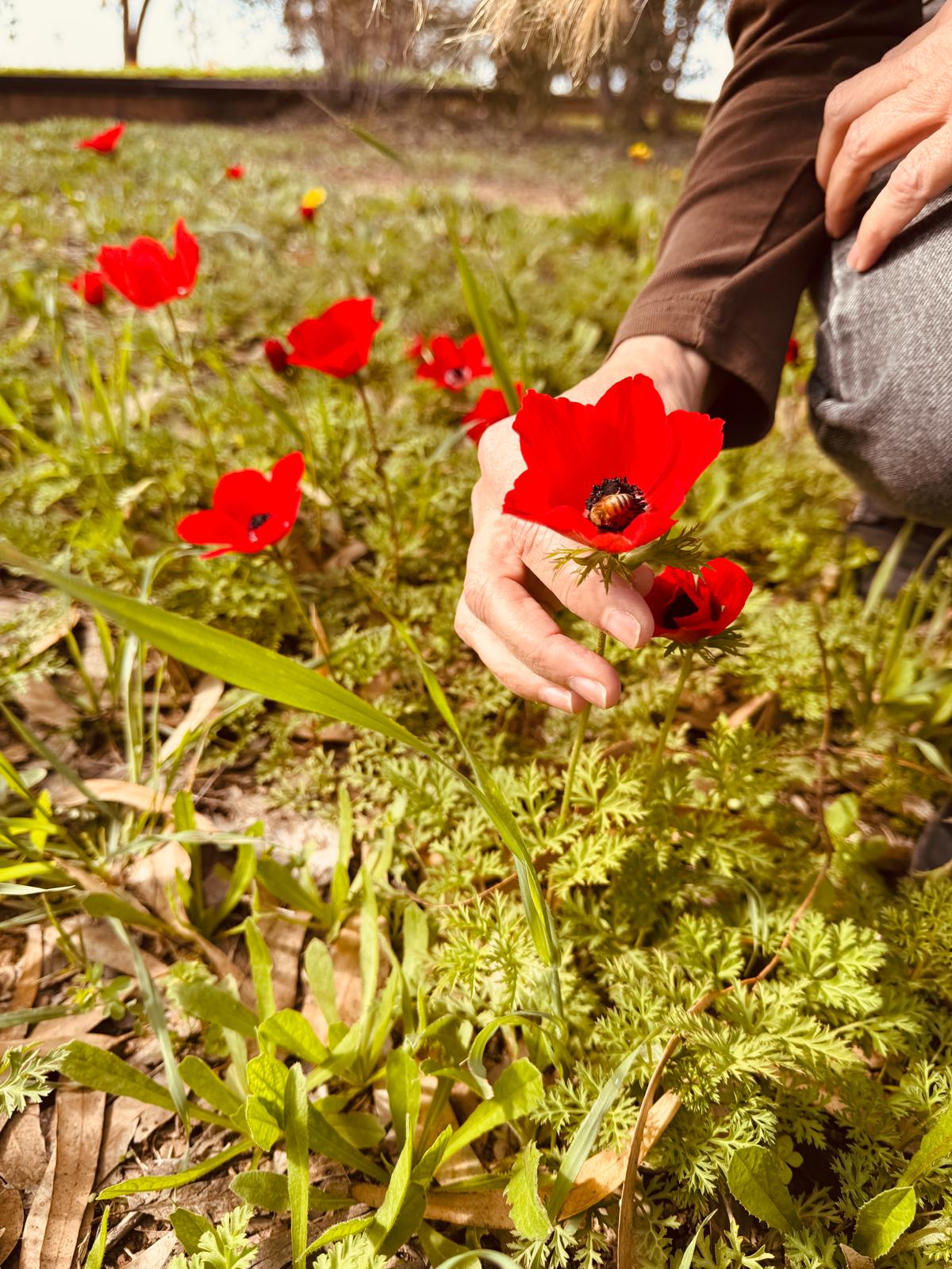 טעמים  של תקווה -בשדות העוטף