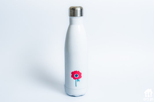 Thermal bottle