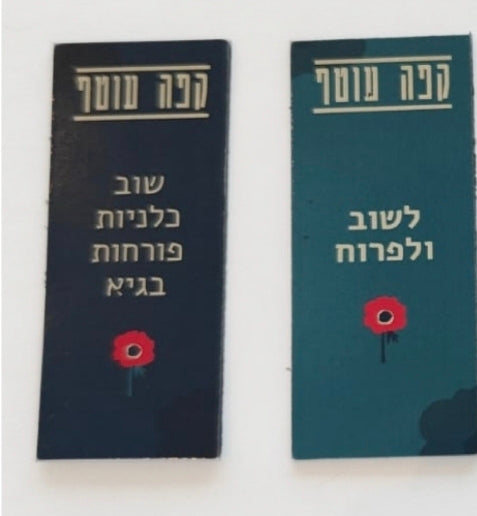 מגנט