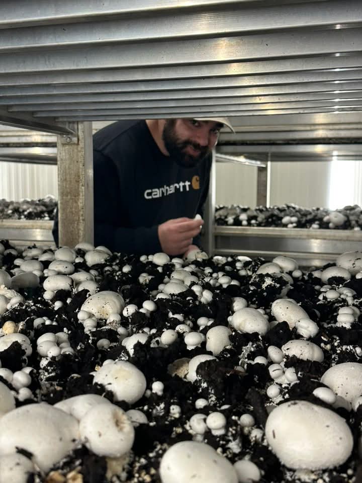 טעמים  של תקווה -בשדות העוטף