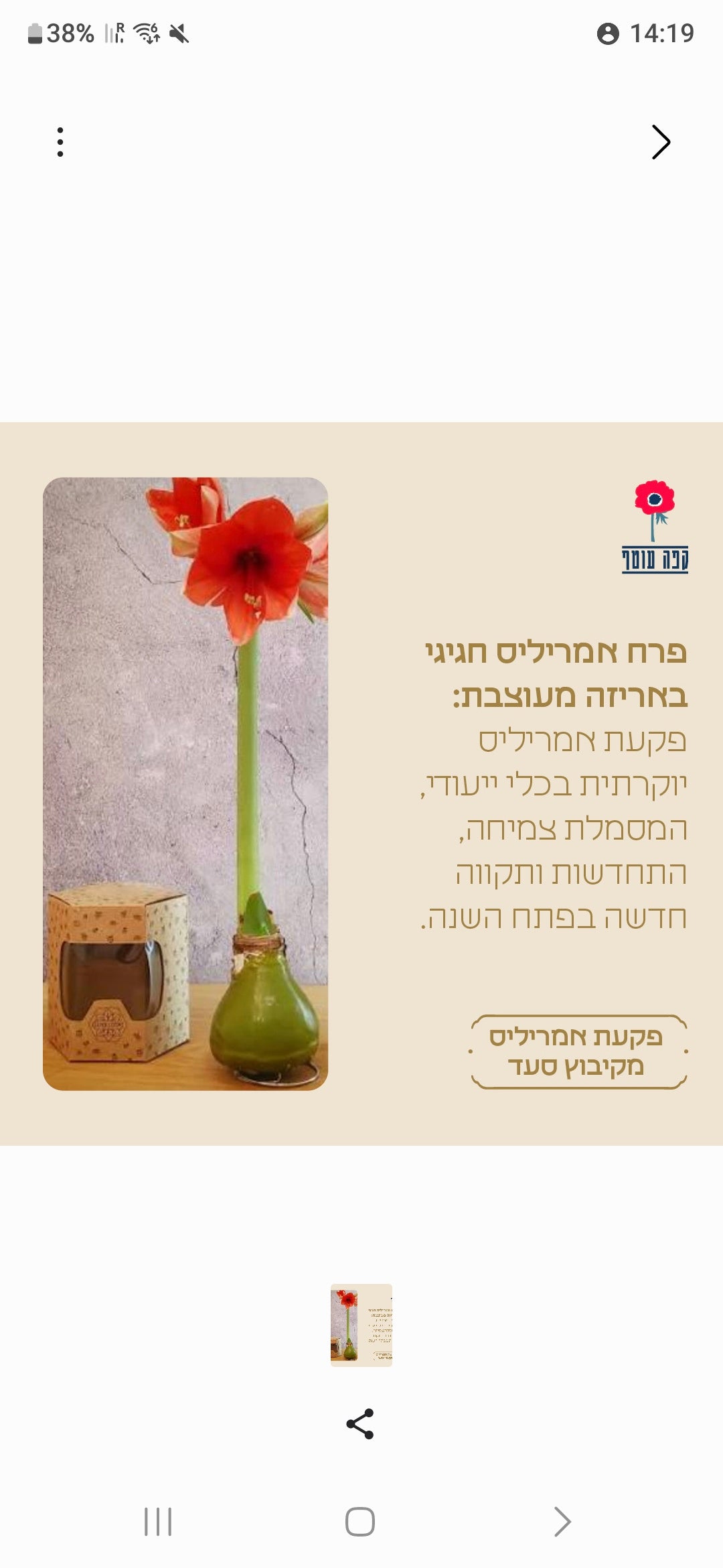 מארזי ראש השנה  - עסקים מהעוטף